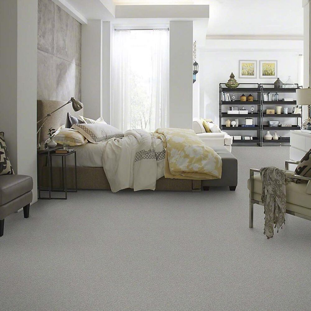 Anderson Tuftex Barracan Classic I Carpet in Haze