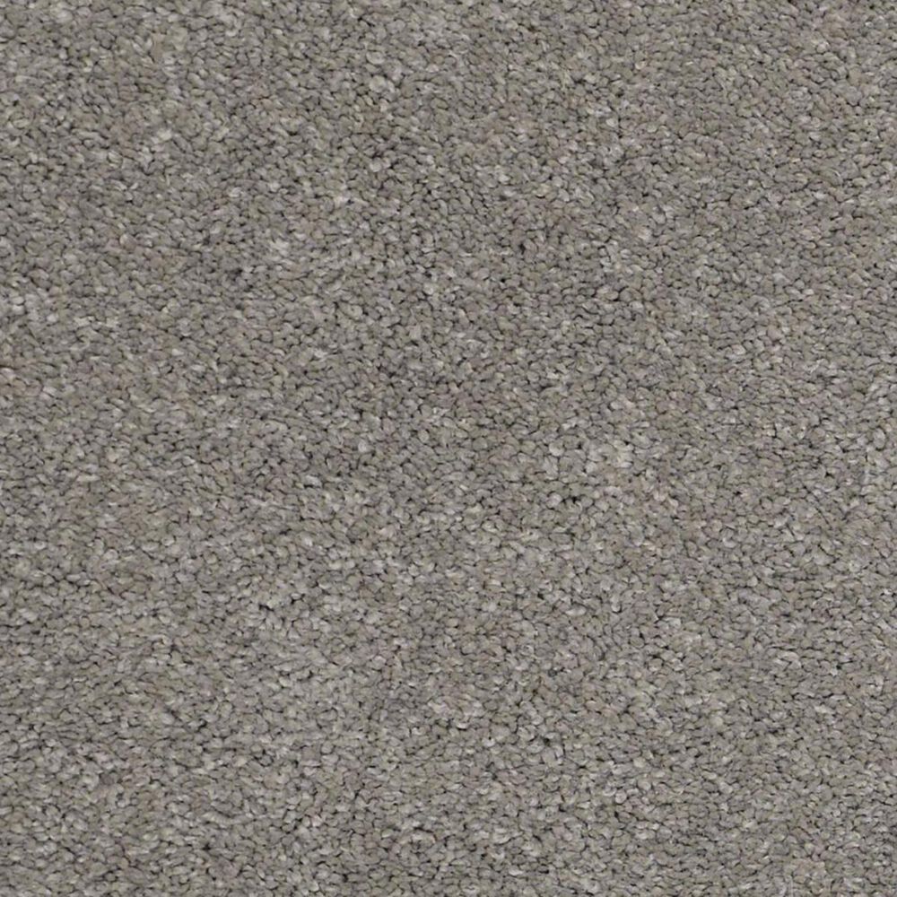 Anderson Tuftex Barracan Classic I Carpet in Barnboard