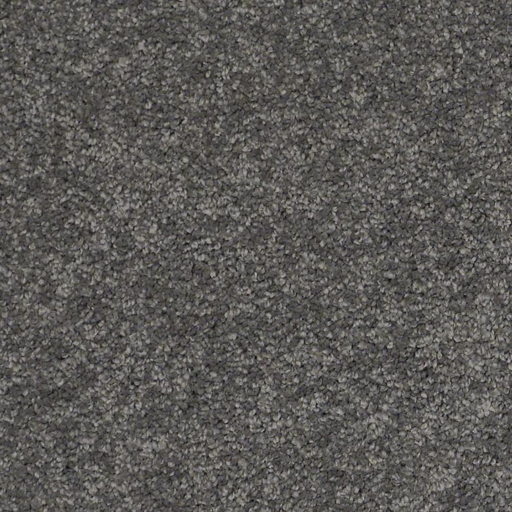 Anderson Tuftex Barracan Classic I Carpet in Onyx