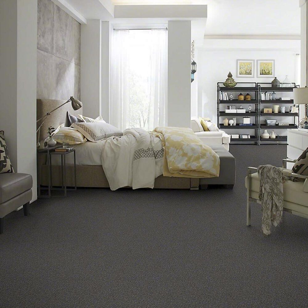 7383-anderson-tuftex-barracan-classic-i-carpet-in-armory-1.jpg