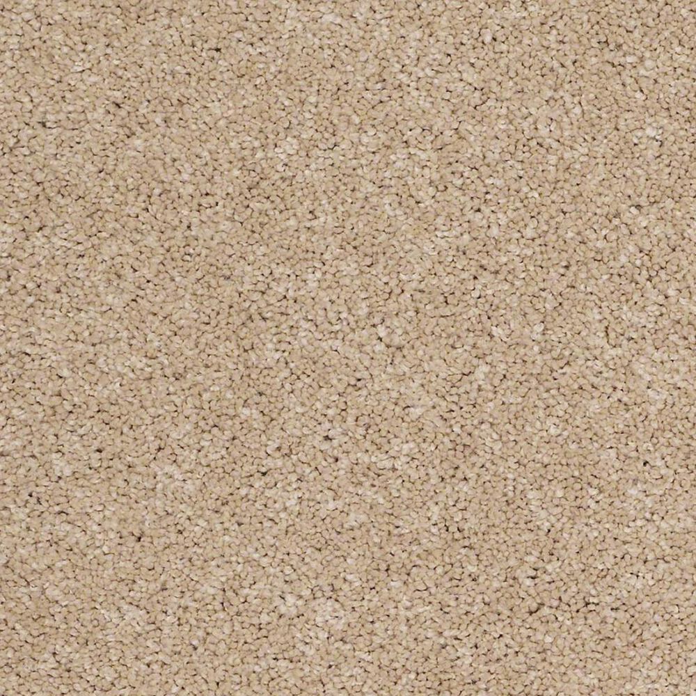 Anderson Tuftex Barracan Classic I Carpet in Maplewood North