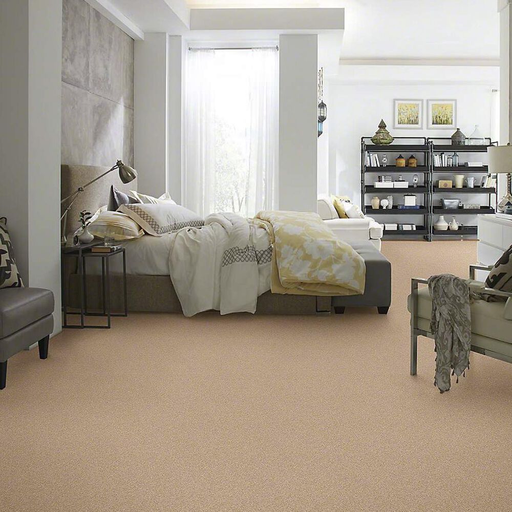 7384-anderson-tuftex-barracan-classic-i-carpet-in-maplewood-north-1.jpg