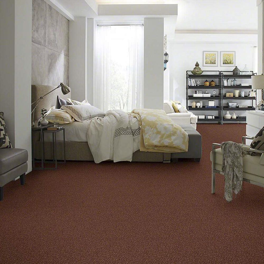 7385-anderson-tuftex-barracan-classic-i-carpet-in-rich-henna-1.jpg