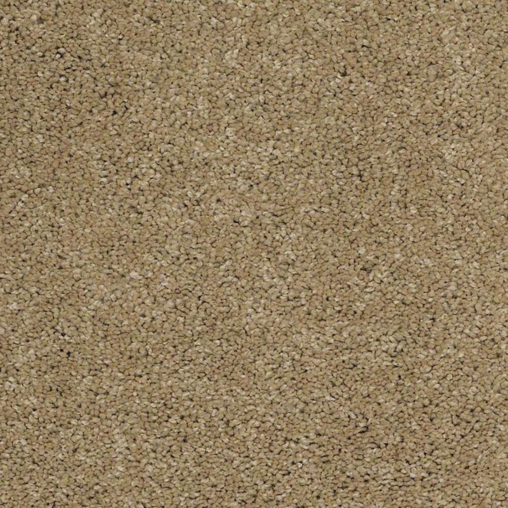 Anderson Tuftex Barracan Classic I Carpet in Navajo