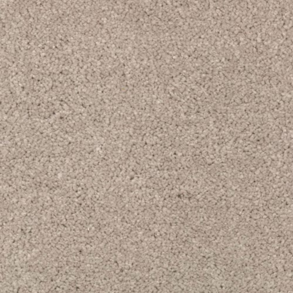 Mohawk Windsor Gardens II Carpet in Overcast