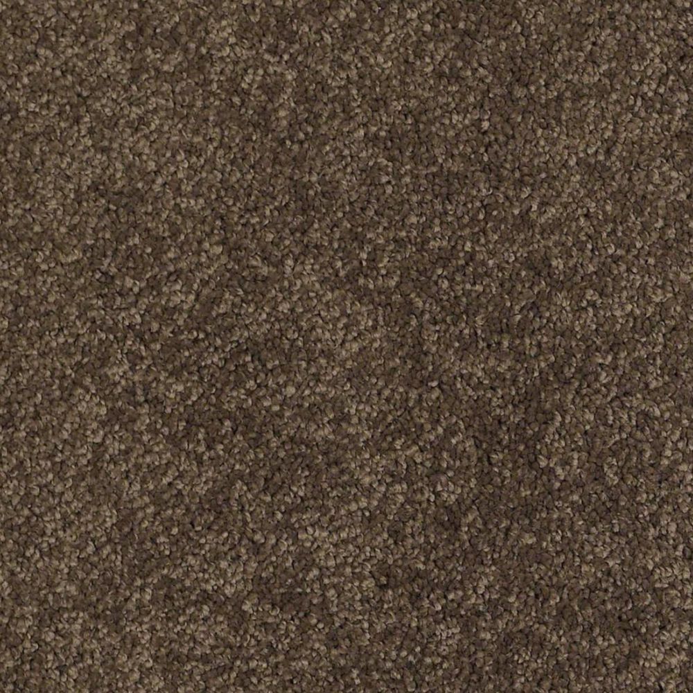 Anderson Tuftex Barracan Classic I Carpet in Bison