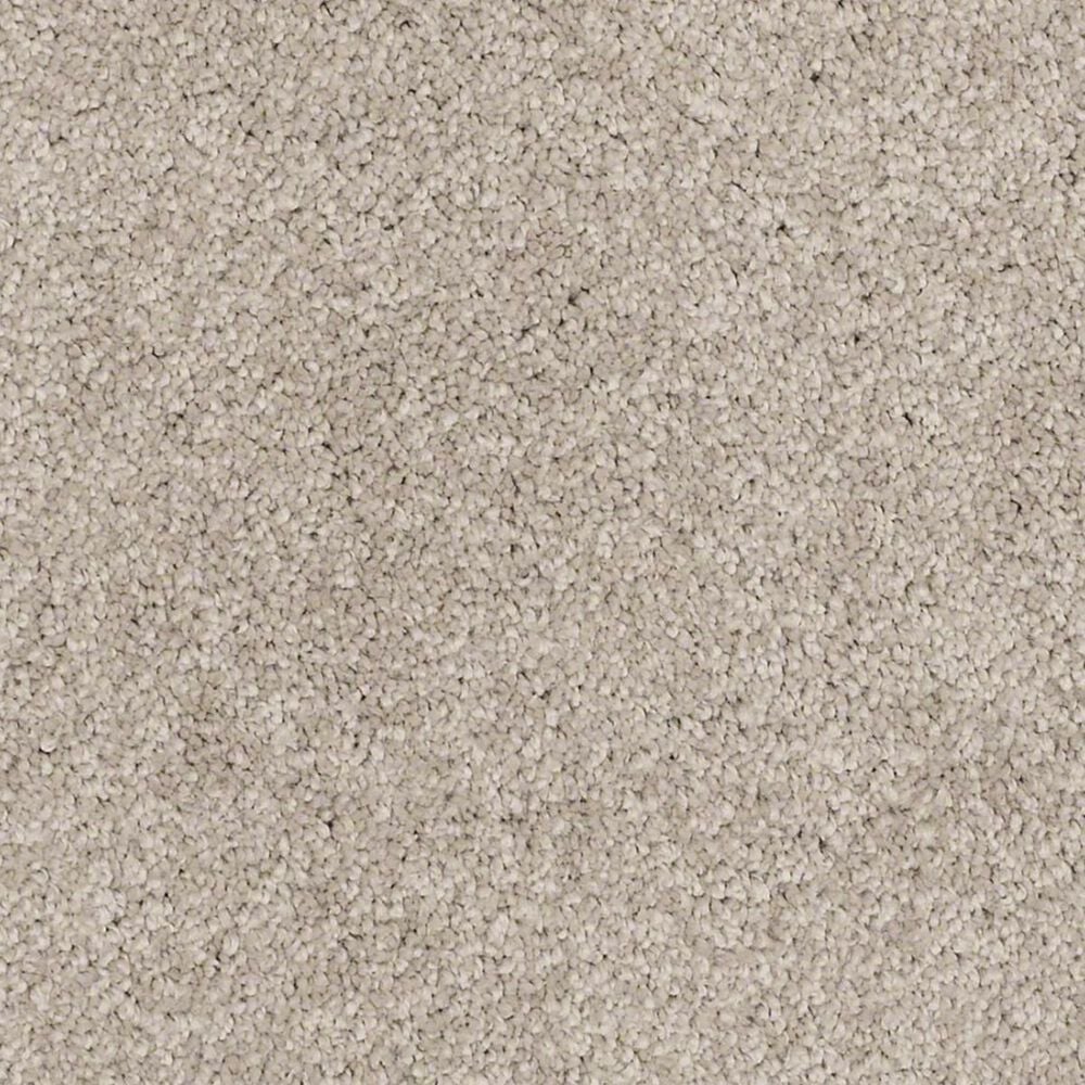 Anderson Tuftex Barracan Classic I Carpet in White Pine