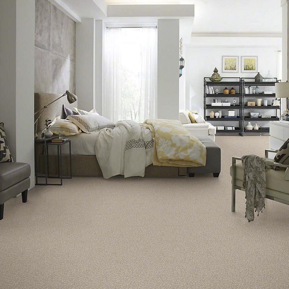 7388-anderson-tuftex-barracan-classic-i-carpet-in-white-pine-1.jpg