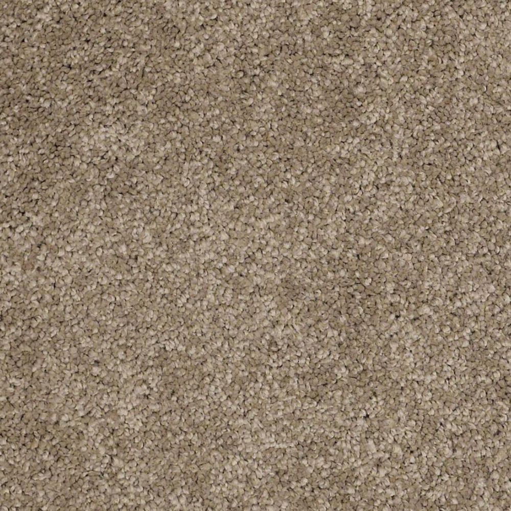 Anderson Tuftex Barracan Classic I Carpet in Pebble Path