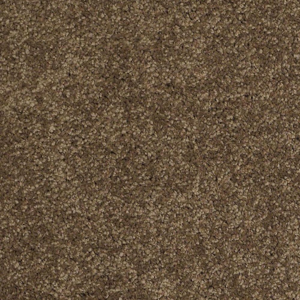 7391-anderson-tuftex-barracan-classic-i-carpet-in-tobacco-leaf-1.jpg