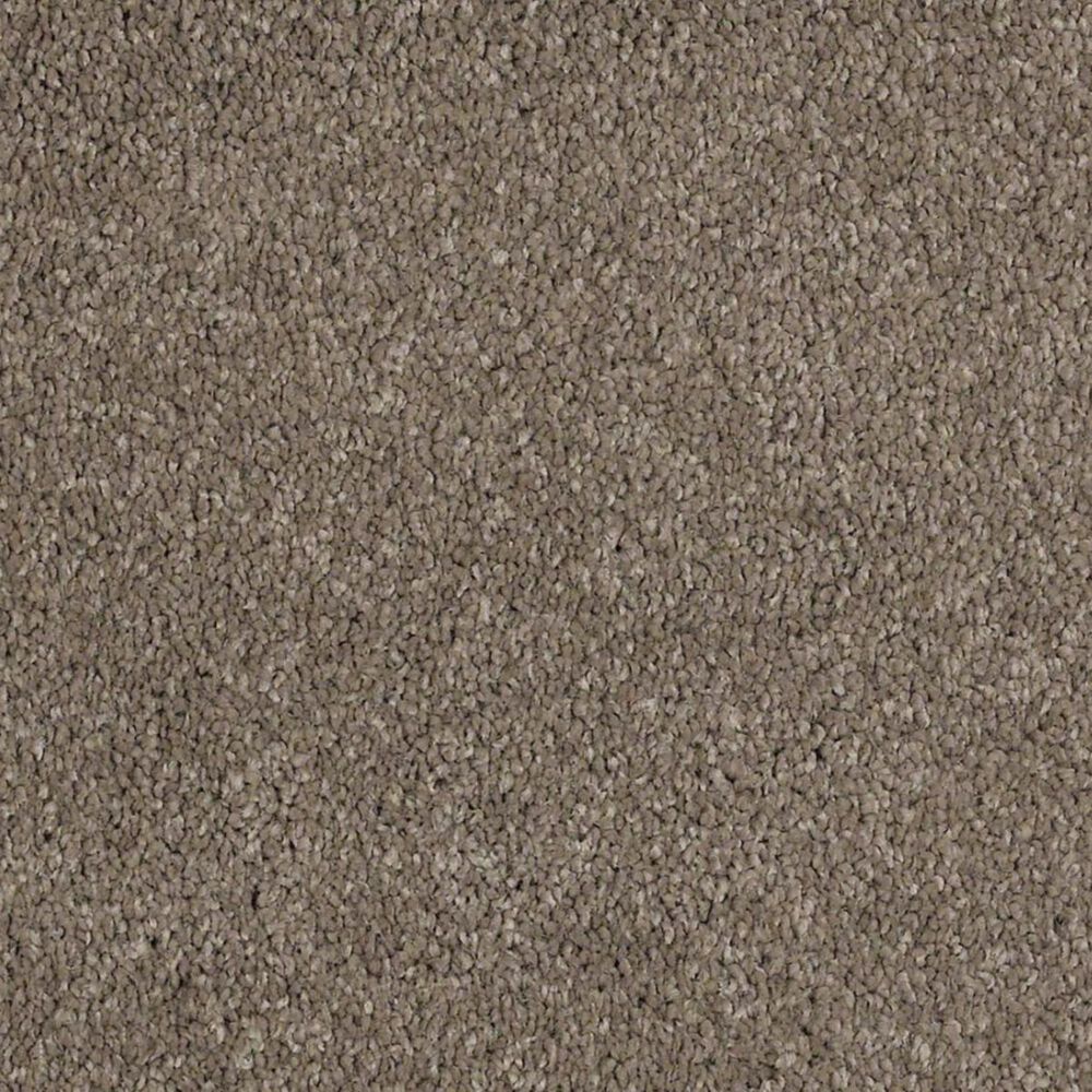 Anderson Tuftex Barracan Classic I Carpet in Mesquite