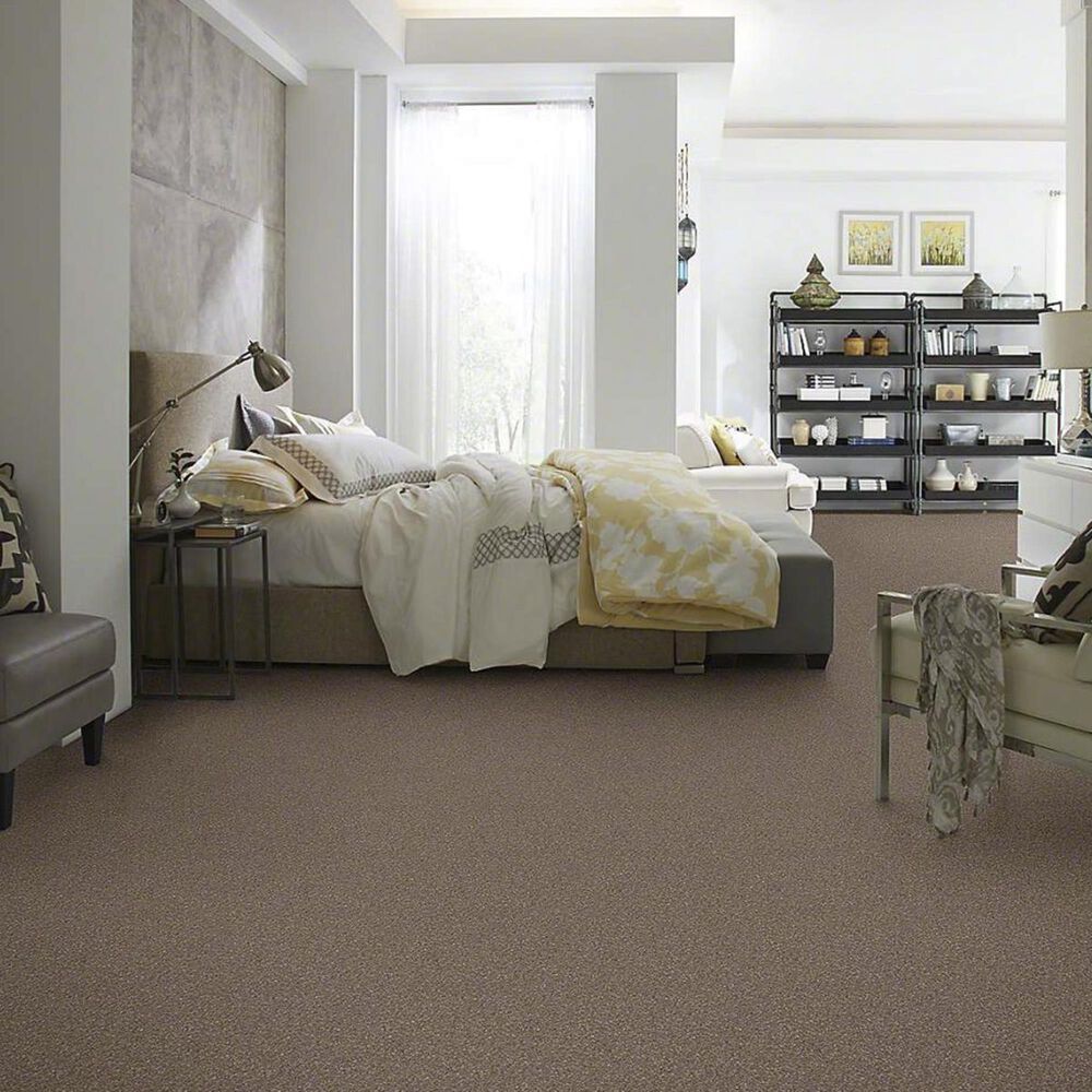 7392-anderson-tuftex-barracan-classic-i-carpet-in-mesquite-1.jpg