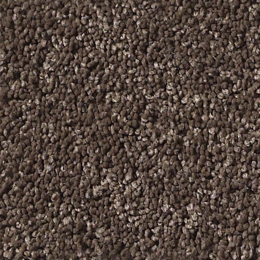 Anderson Tuftex Barracan Classic I Carpet in Spring Wood