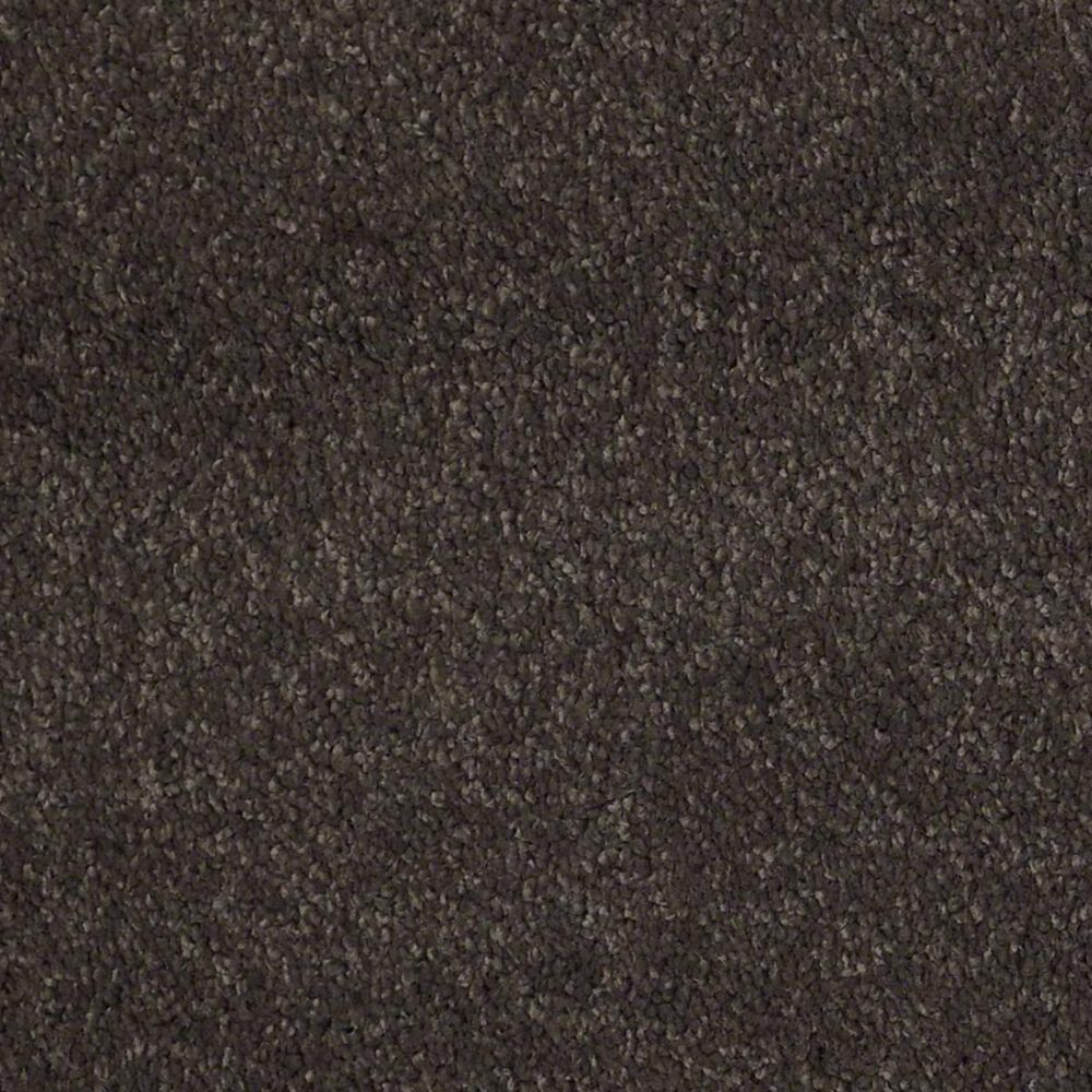 Anderson Tuftex Barracan Classic I Carpet in Chestnut