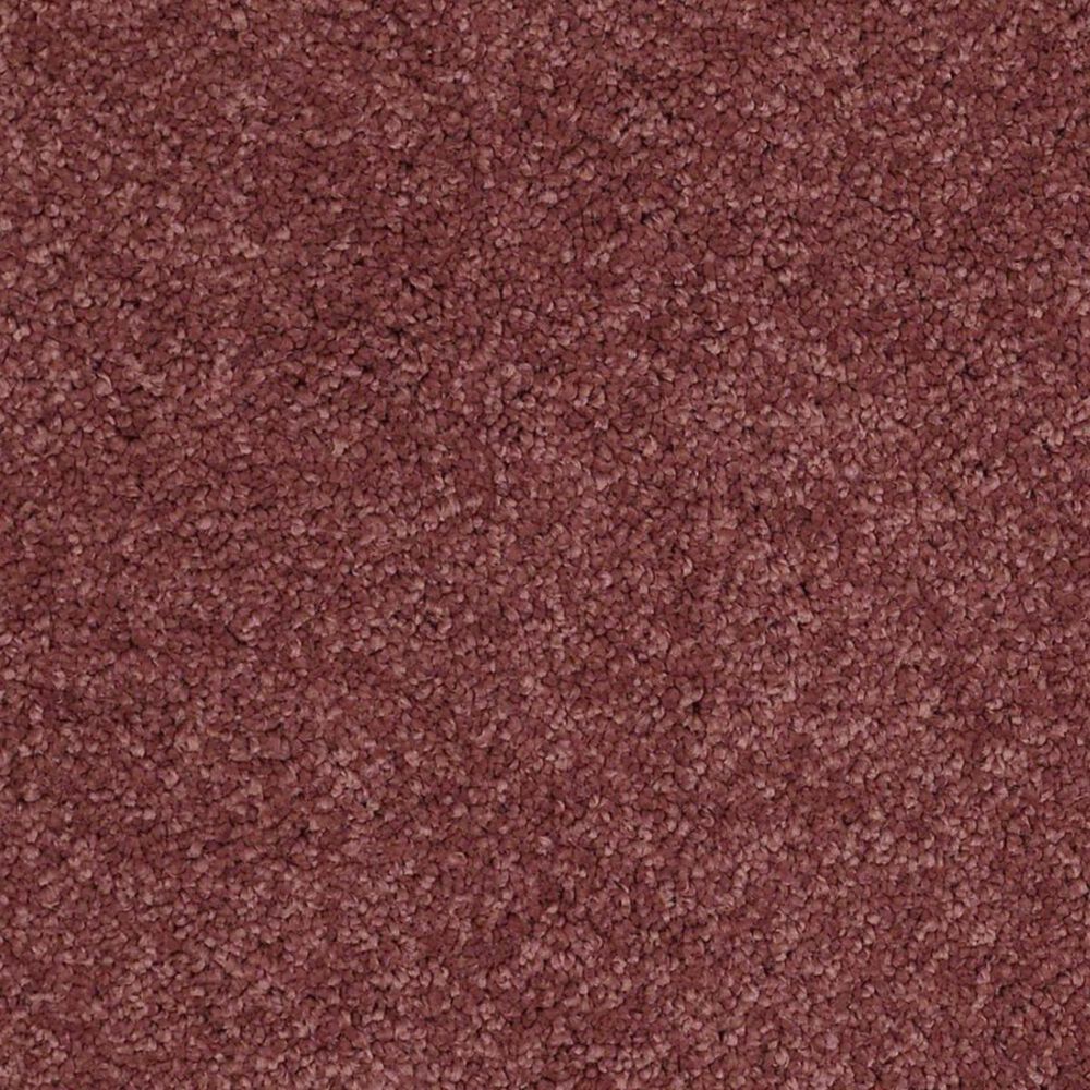 Anderson Tuftex Barracan Classic I Carpet in Cranberry