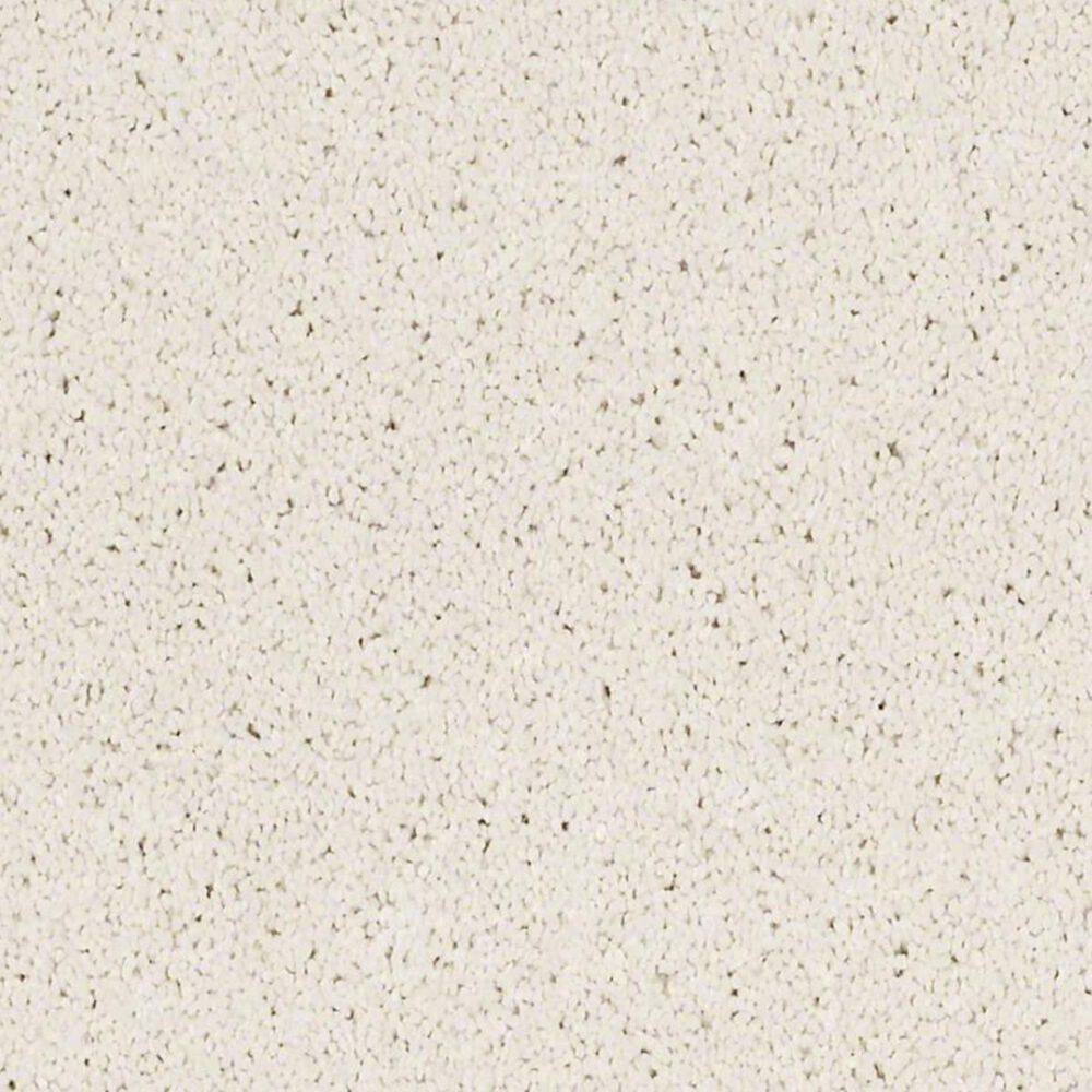 Anderson Tuftex Barracan Classic IV Carpet in Icelandic