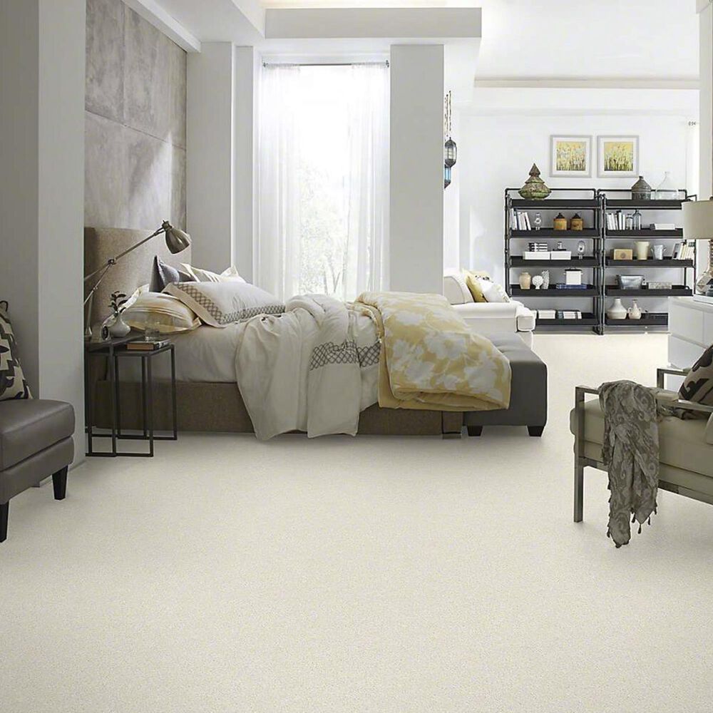 7419-anderson-tuftex-barracan-classic-iv-carpet-in-icelandic-1.jpg
