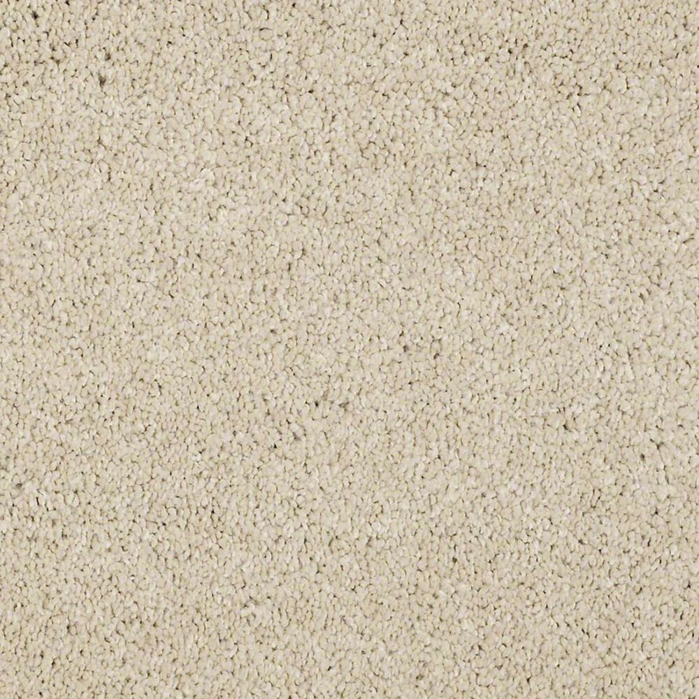 Anderson Tuftex Barracan Classic IV Carpet in Yearling