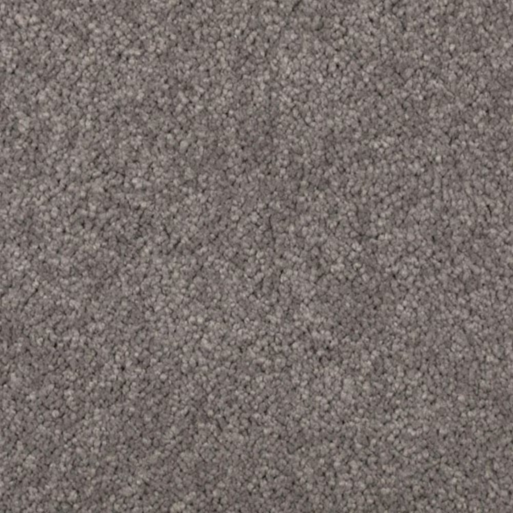 Mohawk Windsor Gardens II Carpet in Evening Shadow