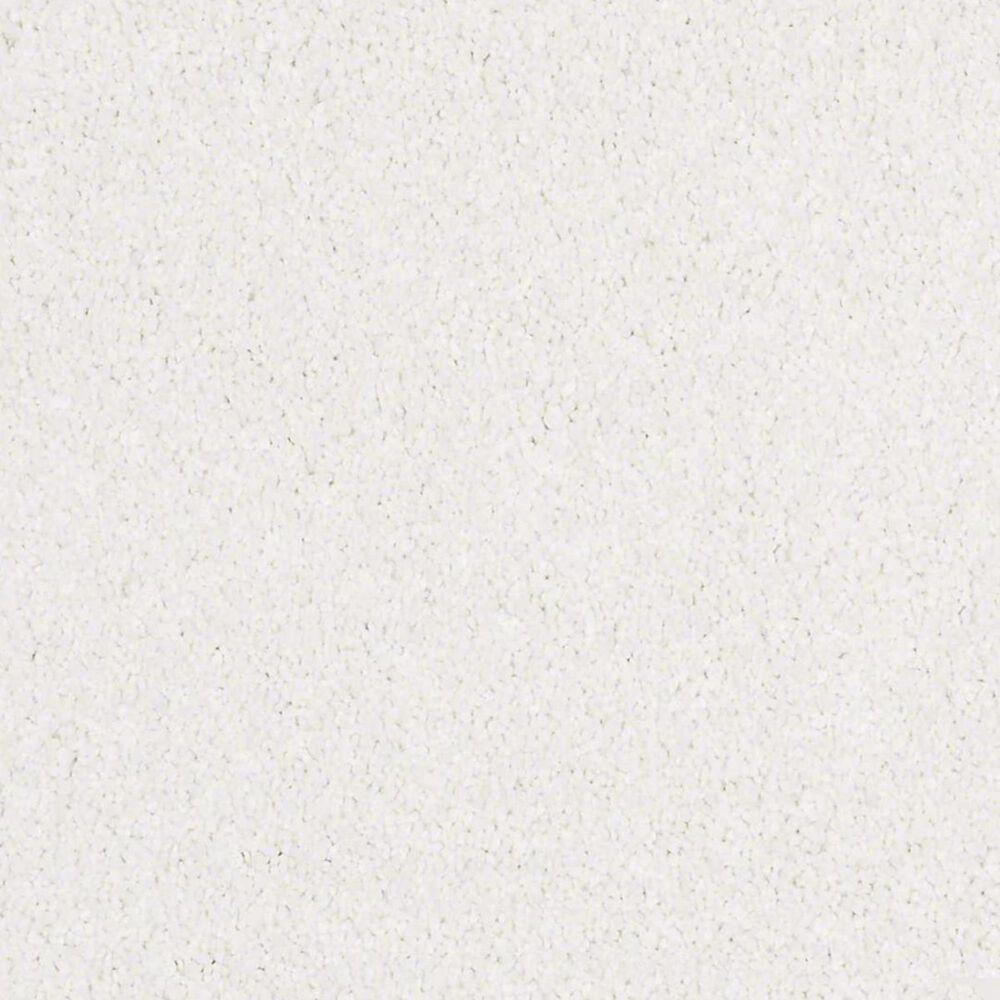 Anderson Tuftex Barracan Classic IV Carpet in Crisp