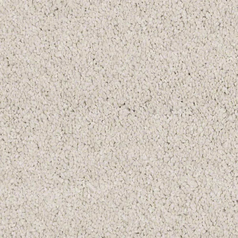Anderson Tuftex Barracan Classic IV Carpet in Heirloom