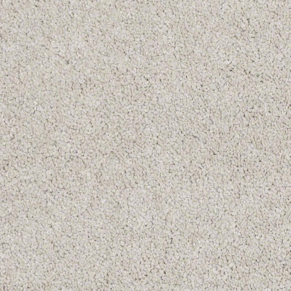 Anderson Tuftex Barracan Classic IV Carpet in Bismuth