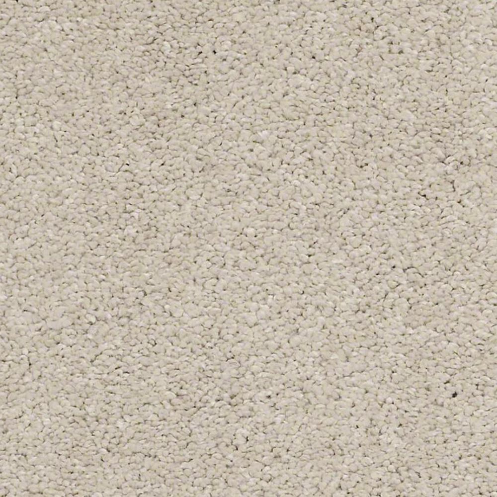 Anderson Tuftex Barracan Classic IV Carpet in Suede