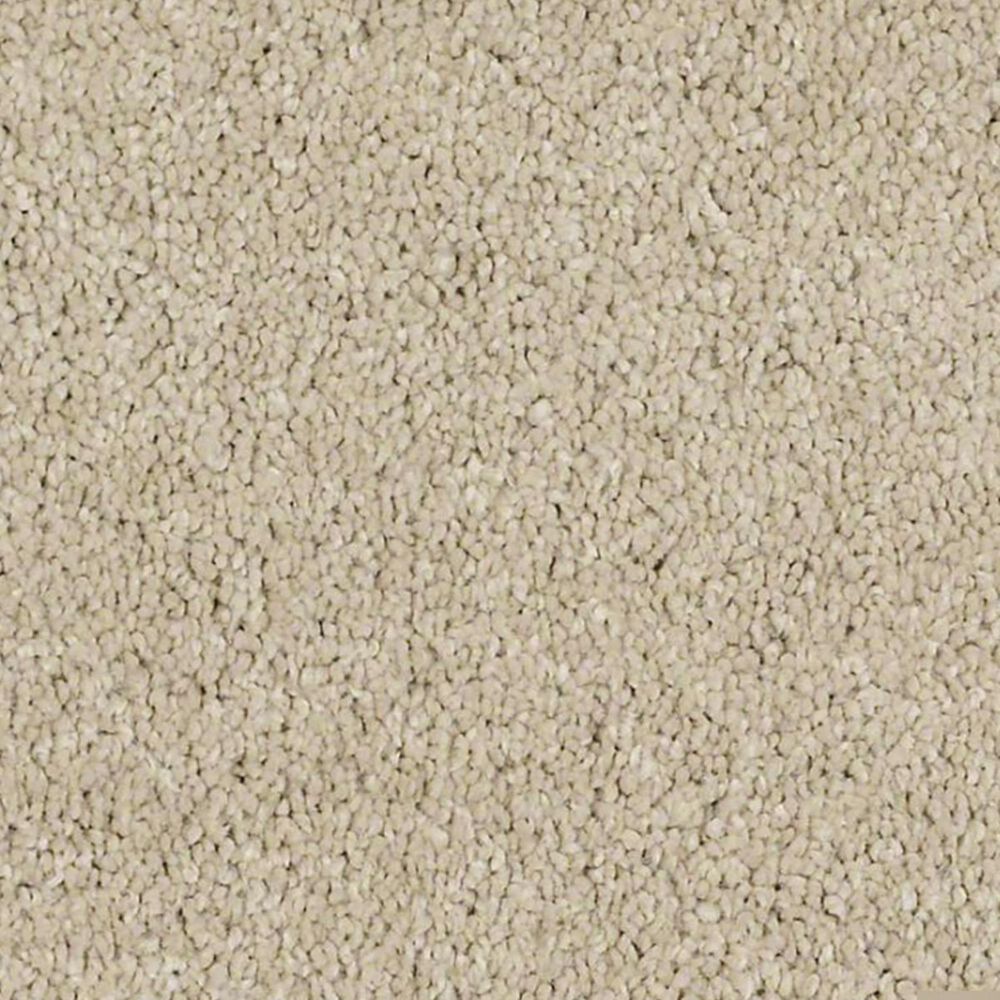 Anderson Tuftex Barracan Classic IV Carpet in Gentle Doe
