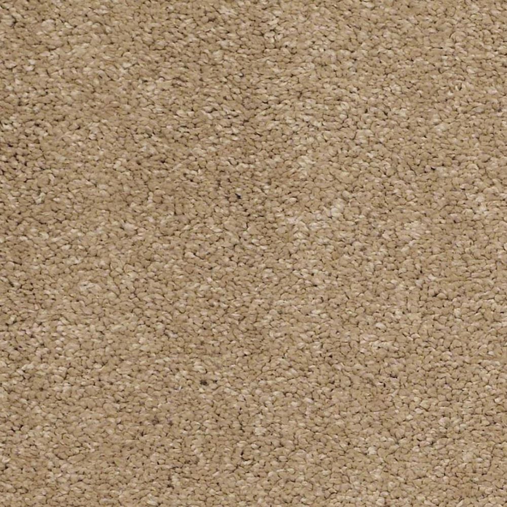 Anderson Tuftex Barracan Classic IV Carpet in Brass Lantern