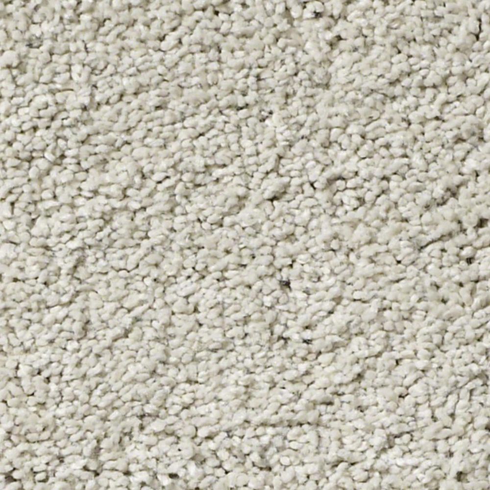 Anderson Tuftex Barracan Classic IV Carpet in Spearmint