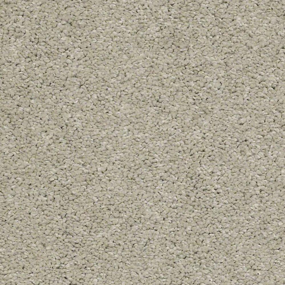 Anderson Tuftex Barracan Classic IV Carpet in Spruce