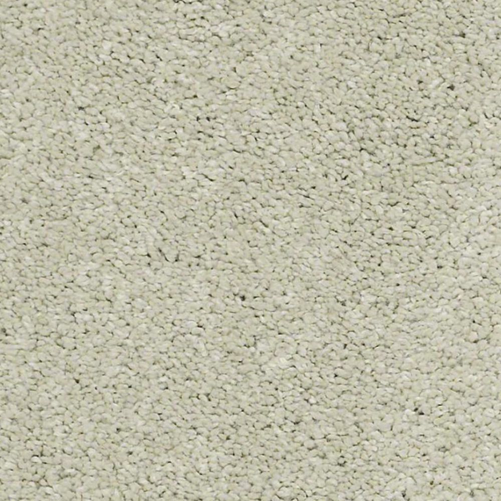 Anderson Tuftex Barracan Classic IV Carpet in Celadon