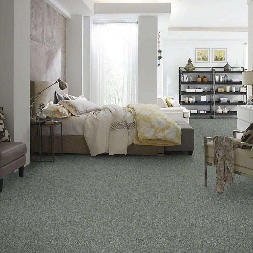 7437-anderson-tuftex-barracan-classic-iv-carpet-in-jade-1.jpg
