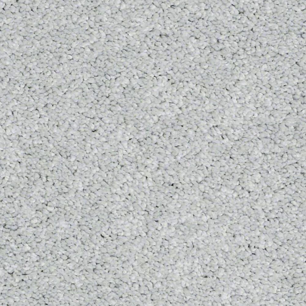Anderson Tuftex Barracan Classic IV Carpet in Beach Glass