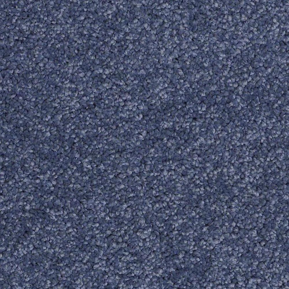 Anderson Tuftex Barracan Classic IV Carpet in True Blue