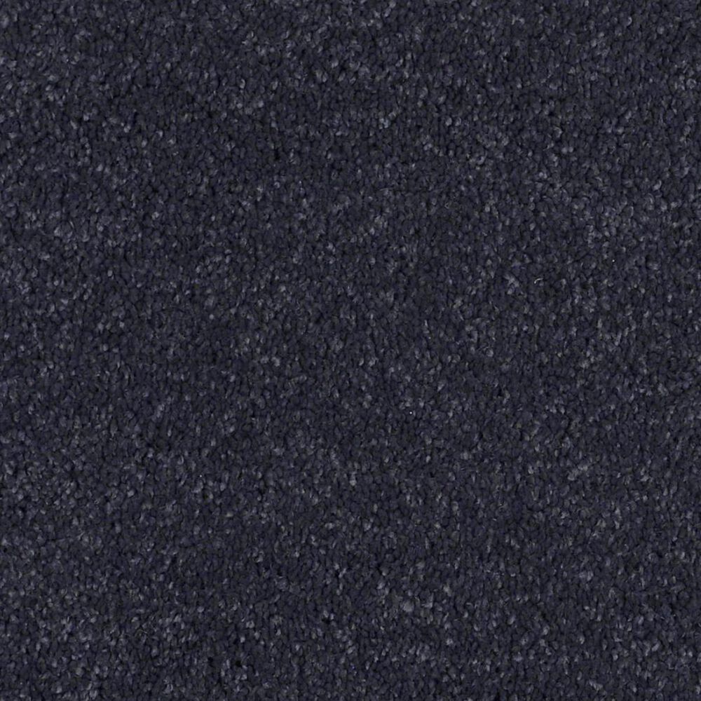 Anderson Tuftex Barracan Classic IV Carpet in Deep Indigo