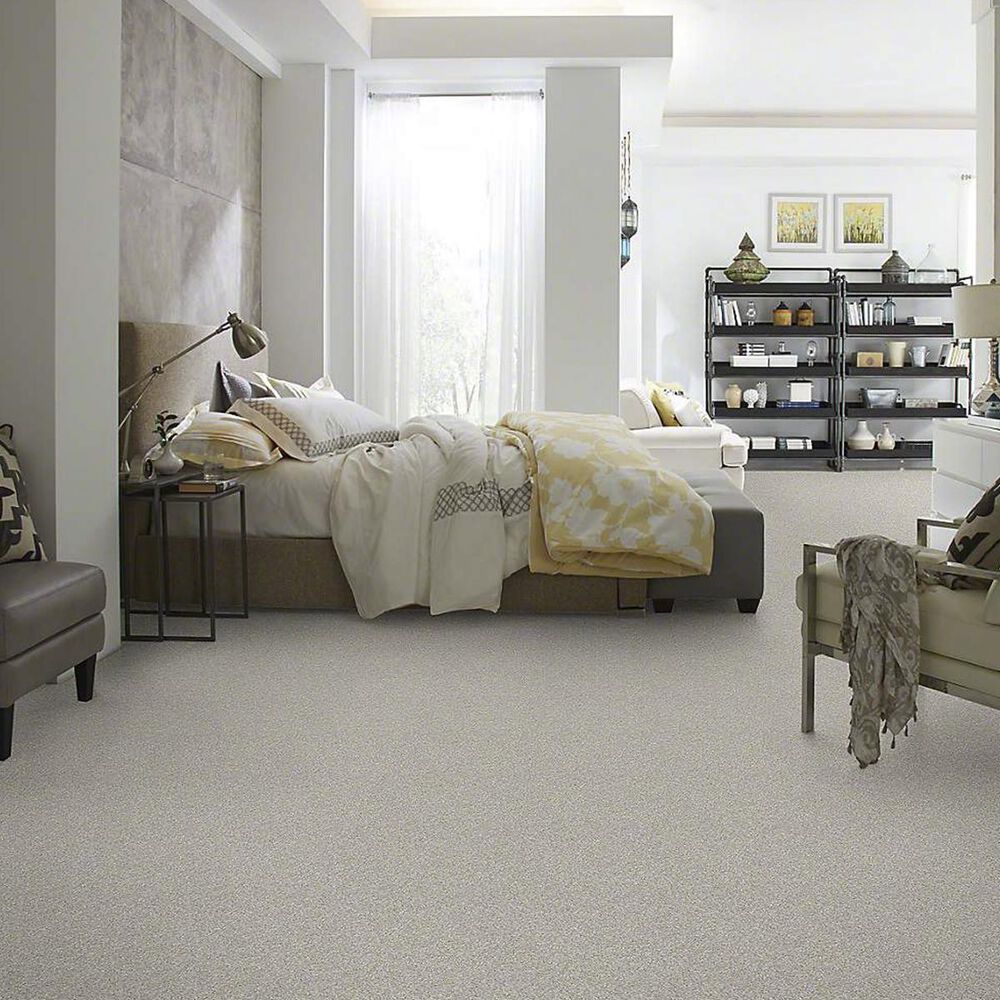 7445-anderson-tuftex-barracan-classic-iv-carpet-in-froth-1.jpg