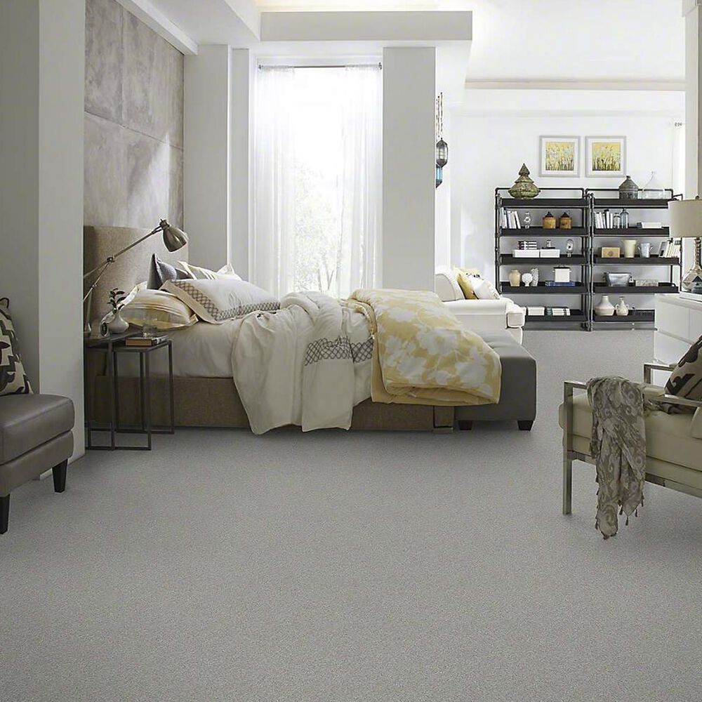 7446-anderson-tuftex-barracan-classic-iv-carpet-in-haze-1.jpg