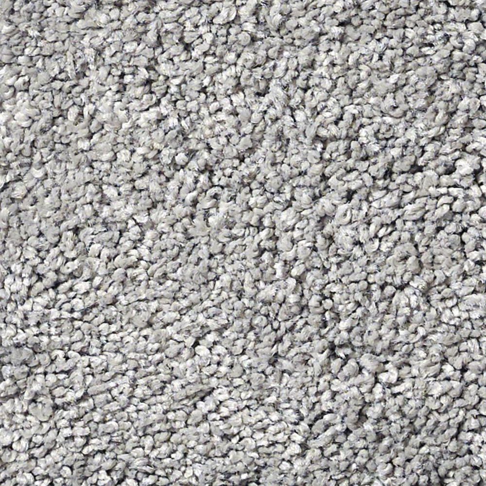 Anderson Tuftex Barracan Classic IV Carpet in Birch Bark