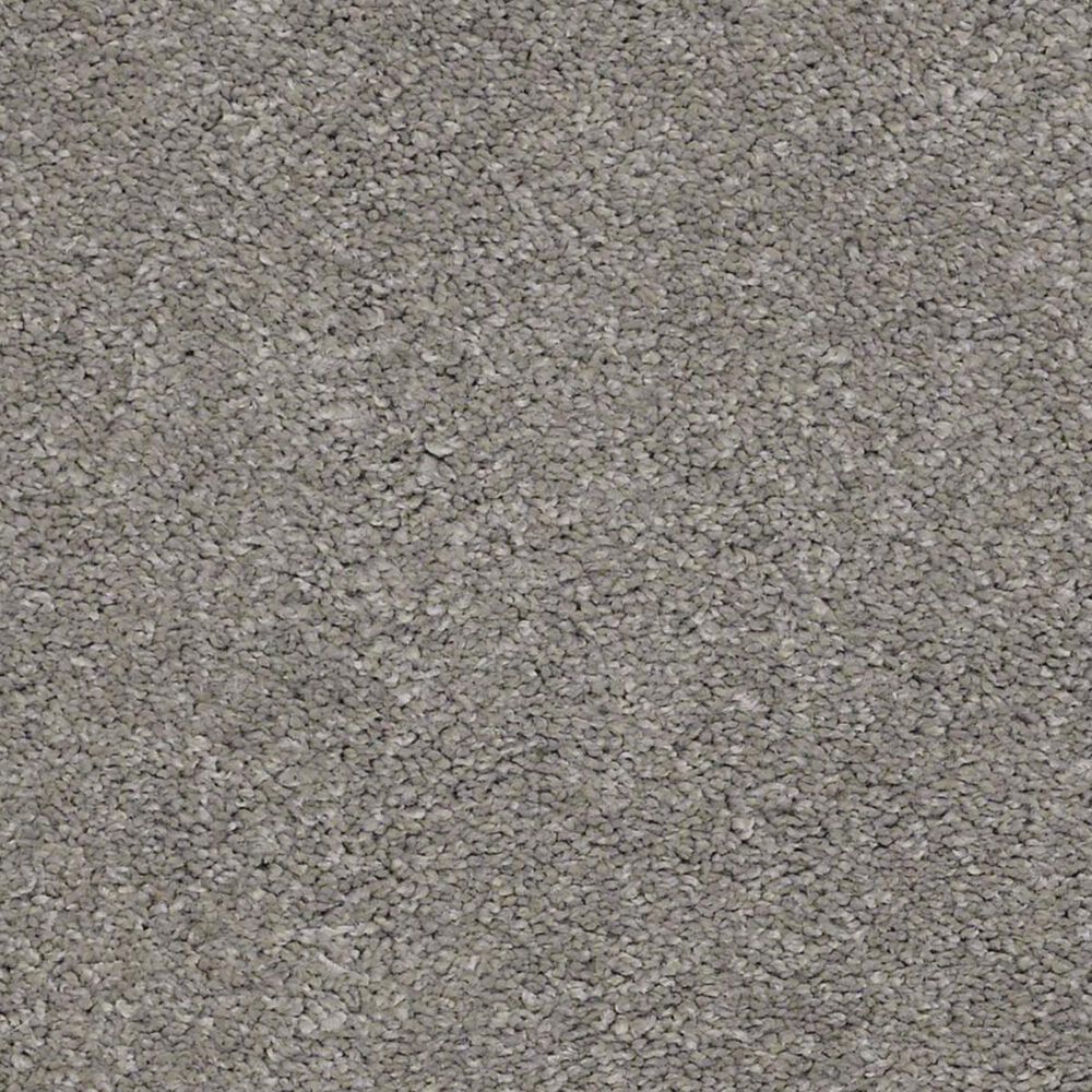 Anderson Tuftex Barracan Classic IV Carpet in Barnboard