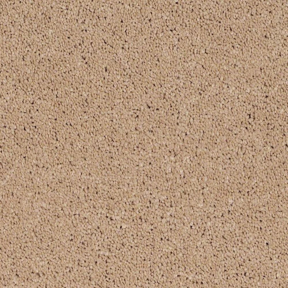 Anderson Tuftex Barracan Classic IV Carpet in Maplewood North