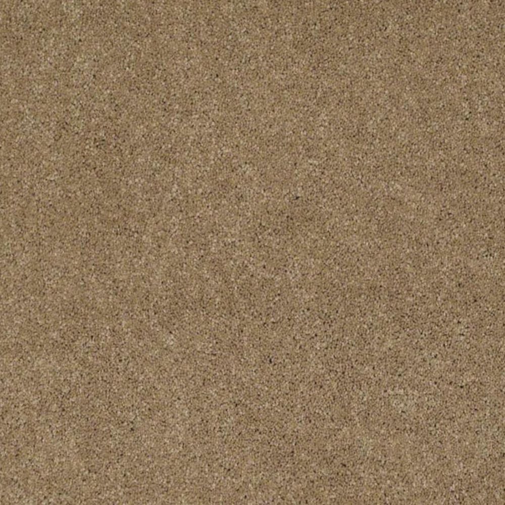 Anderson Tuftex Barracan Classic IV Carpet in Navajo