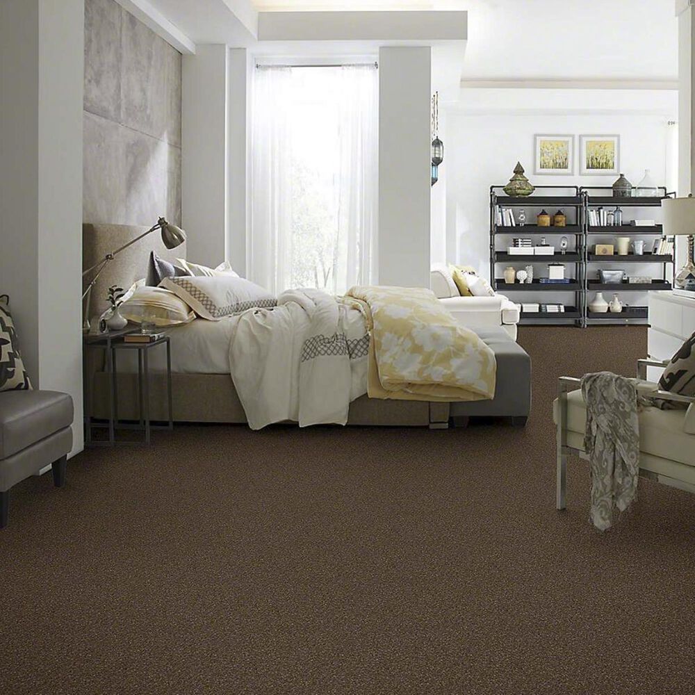 Anderson Tuftex Barracan Classic IV Carpet in Bison