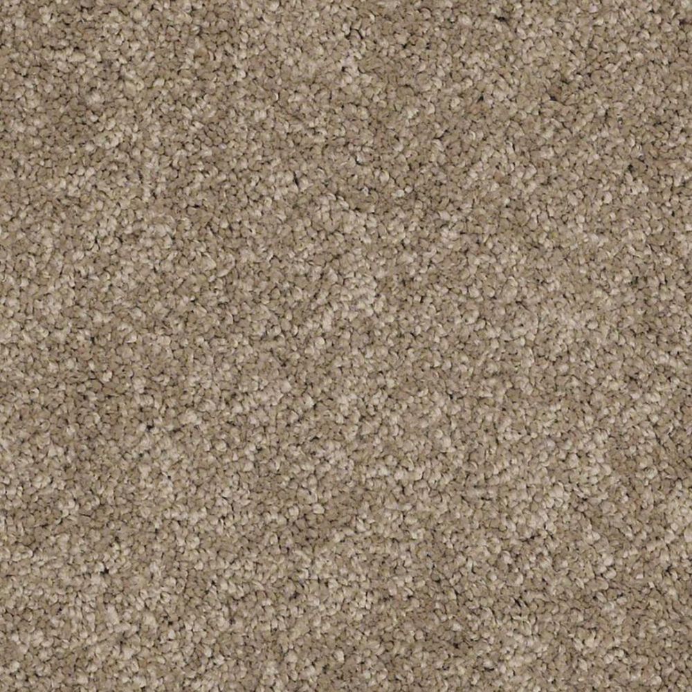 Anderson Tuftex Barracan Classic IV Carpet in Pebble Path