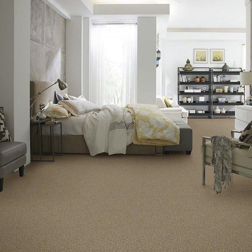 7461-anderson-tuftex-barracan-classic-iv-carpet-in-pebble-path-1.jpg