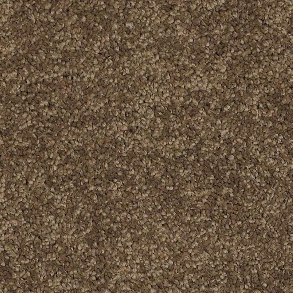 Anderson Tuftex Barracan Classic IV Carpet in Tobacco Leaf