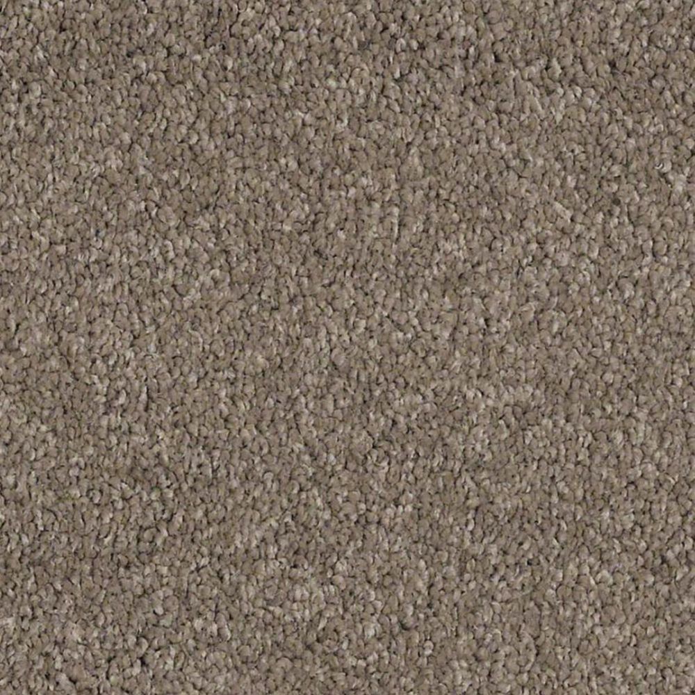 Anderson Tuftex Barracan Classic IV Carpet in Mesquite