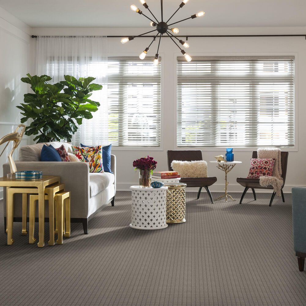 7473-shaw-blocking-carpet-in-mineral-1.jpg