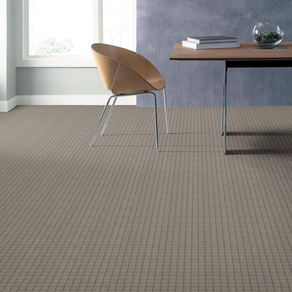 7473-shaw-blocking-carpet-in-mineral-1.jpg