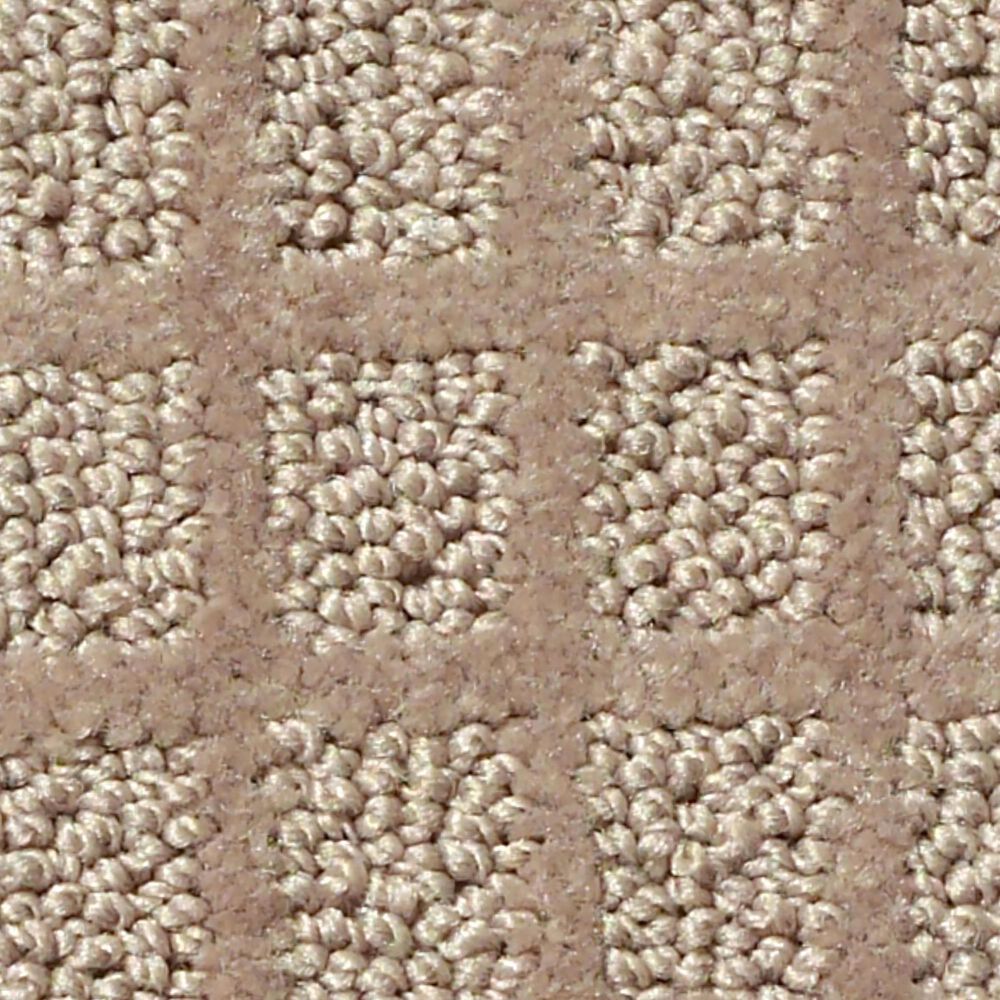 Shaw Blocking Carpet in Bronze
